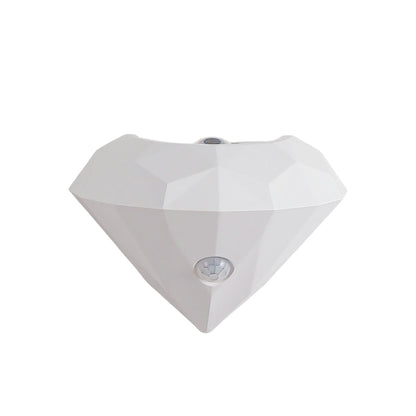 Luxury LED Wall Light Sensor Dimmer Nightlight