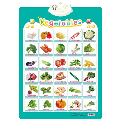 Fun Interactive English Sound Toy for Kids