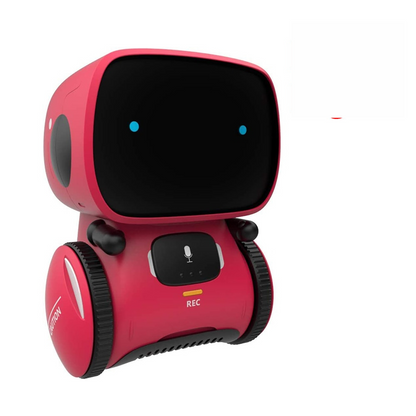 Interactive Learning Robot Toy