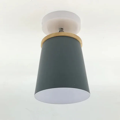 Delicate Rose Hanging Lamp Shade