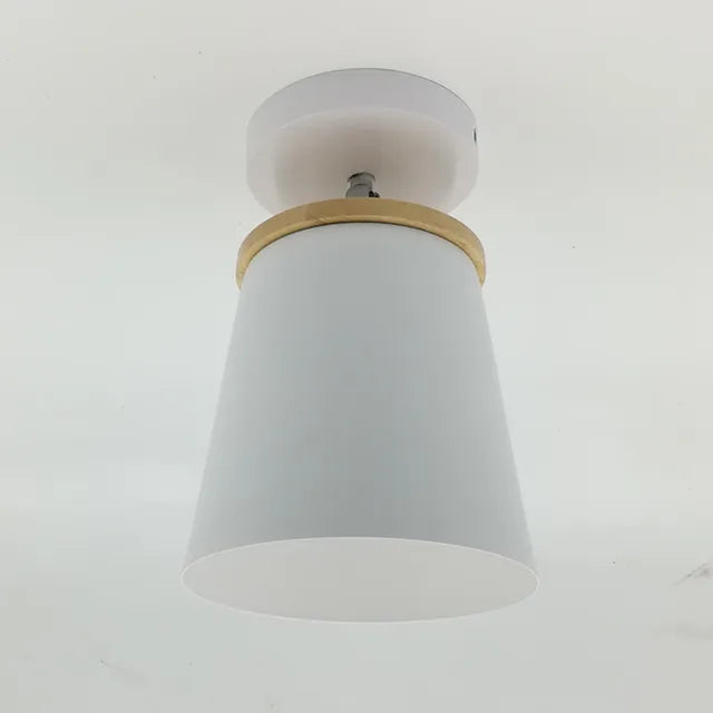 Bright Modern Overhead LED Light
