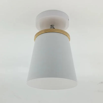 Bright Modern Overhead LED Light