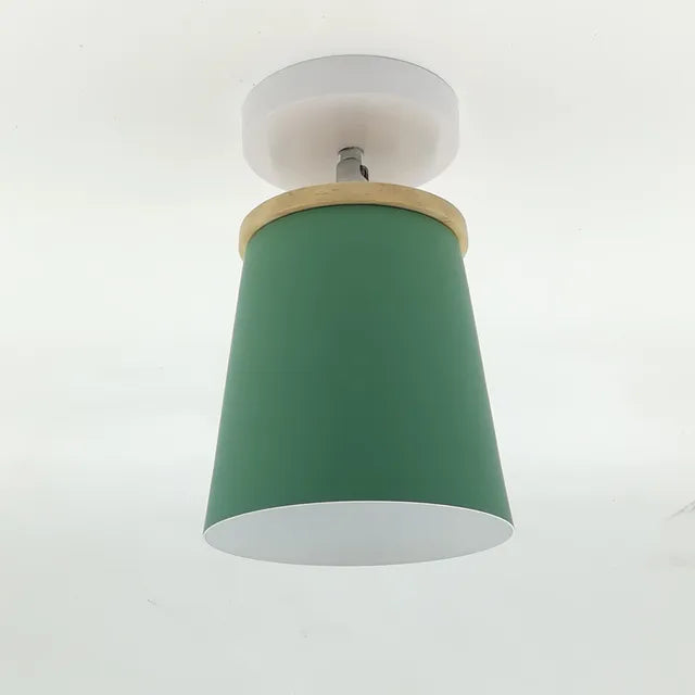 Delicate Rose Hanging Lamp Shade
