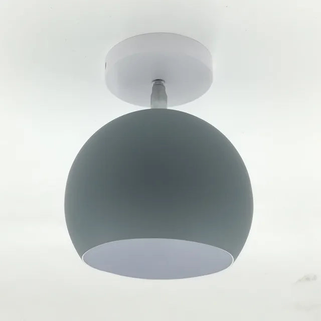 Delicate Rose Hanging Lamp Shade