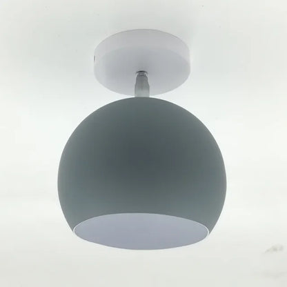 Delicate Rose Hanging Lamp Shade