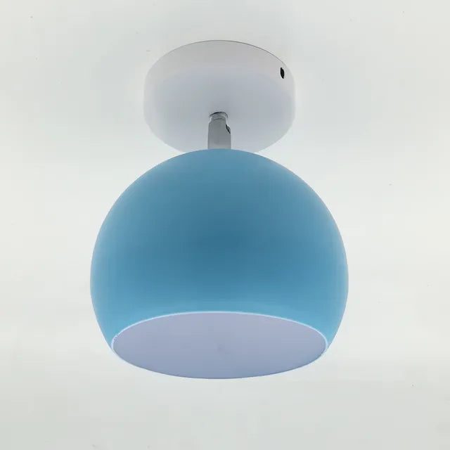 Delicate Rose Hanging Lamp Shade