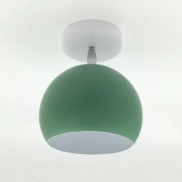 Delicate Rose Hanging Lamp Shade