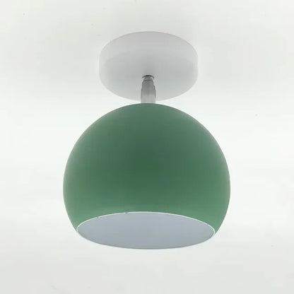 Delicate Rose Hanging Lamp Shade