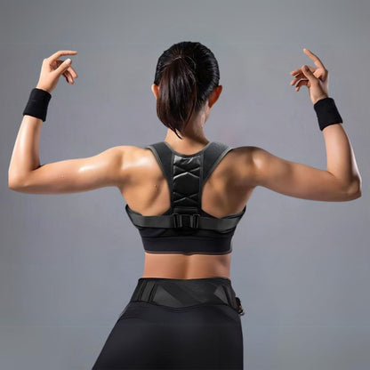 Ergonomic Back Support Belt for Lower Back Pain