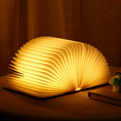 Stylish Novelty LED Table Lamp