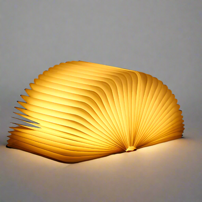 Stylish Novelty LED Table Lamp