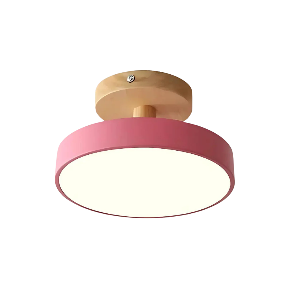 Modern Thin LED Ceiling Lamp