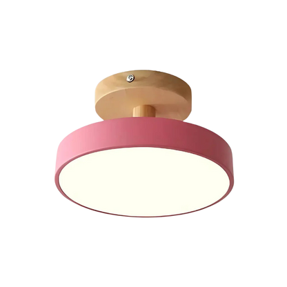 Modern Thin LED Ceiling Lamp