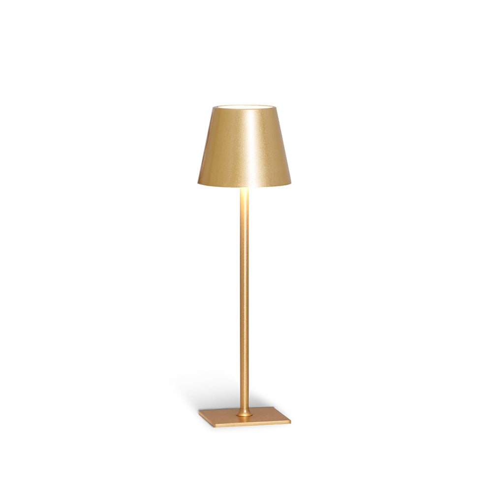 Compact Dimmable LED Desk Lamp Metal - Luxicro