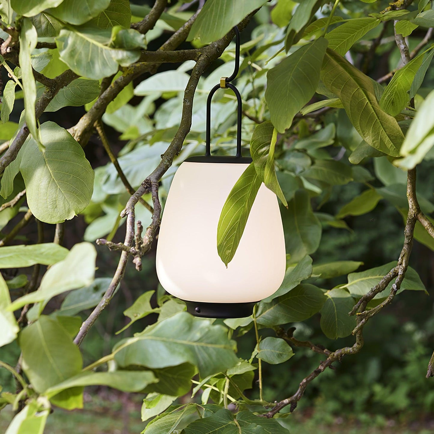 Compact Travel Desk Lamp