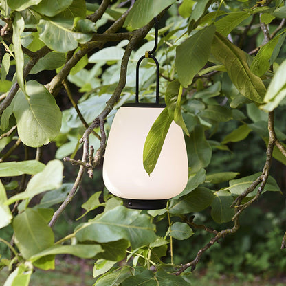 Compact Travel Desk Lamp