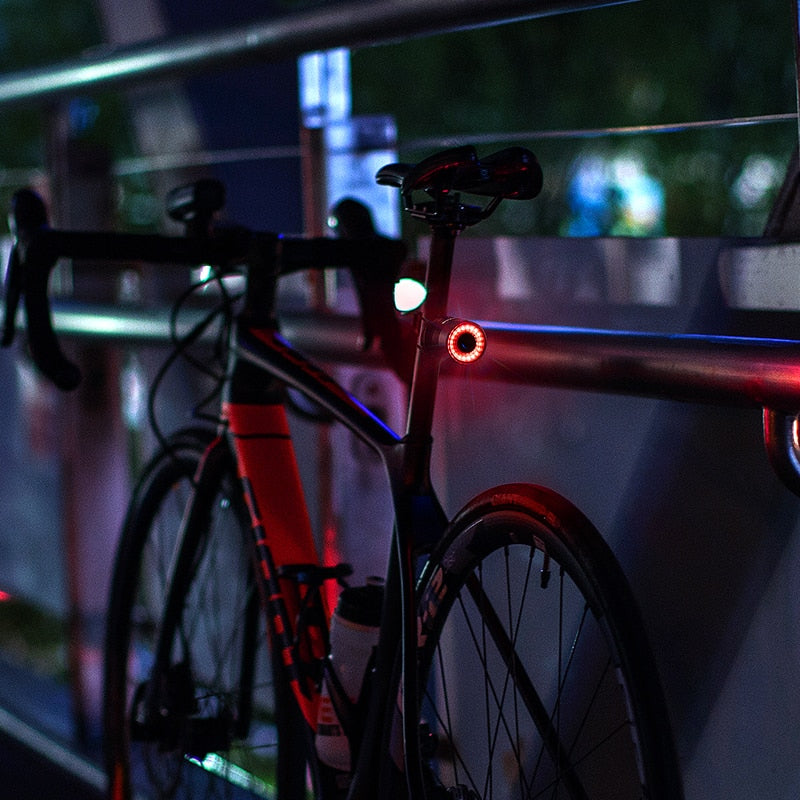 Bright Rear Bike LED Light with Automatic Brake Alert