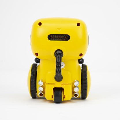 Interactive Learning Robot Toy