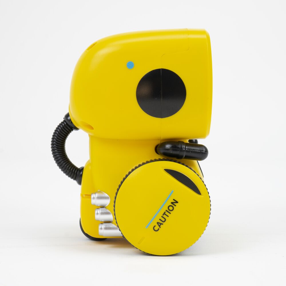 Interactive Learning Robot Toy