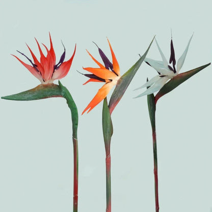 Vibrant Exotic Flower Arrangement 3 Piece Decor