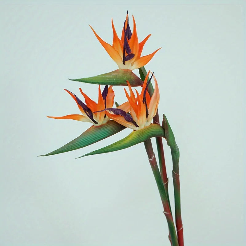 Vibrant Exotic Flower Arrangement 3 Piece Decor - Luxicro