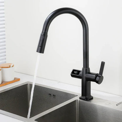 Stainless Touchless Kitchen Faucet with Rotating Spout