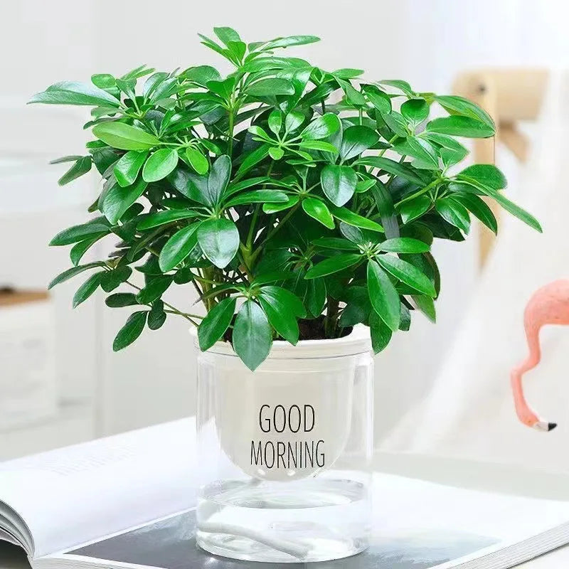 Realistic Indoor Plant with Stem and Leaves - Luxicro