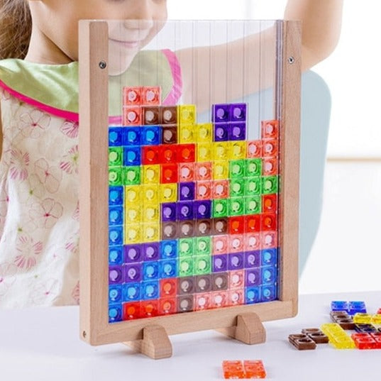 Educational 3D Brain Teaser Puzzle Toy