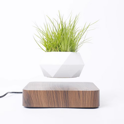 Unique Levitating Planter for Modern Home Decoration