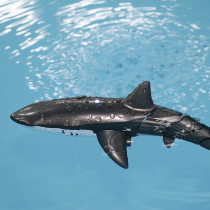 Cool Remote Control Shark Pool Toy