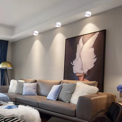 Non-reflective LED Recessed Ceiling Light