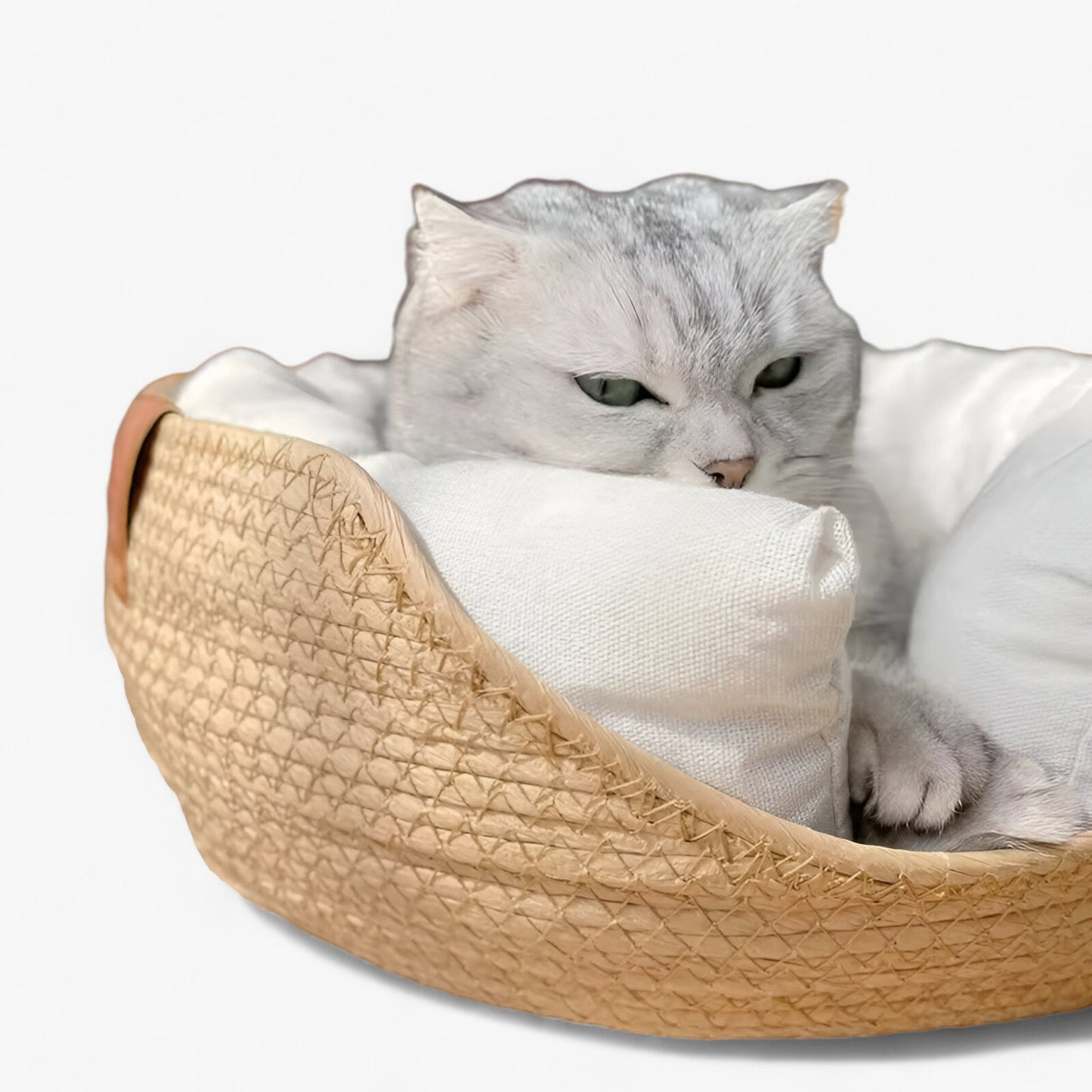 Comfortable Eco Friendly Bamboo Pet Mattress