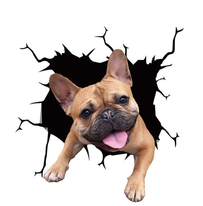 Cool Car Body Vinyl Protective Sticker Skin
