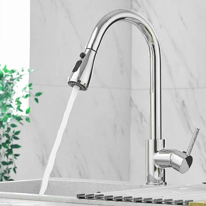 Sleek Black Pull-Down Kitchen Faucet