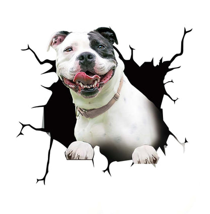 Cool Car Body Vinyl Protective Sticker Skin