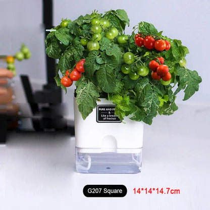 Automatic Self Watering Indoor Plant Pot with Moisture Meter