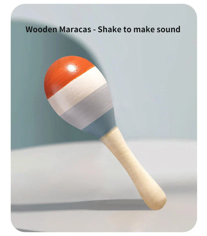 Baby Music Instrument Learning Set