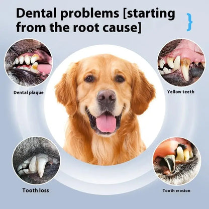 Pet Dental Cleaner Ultrasound Device