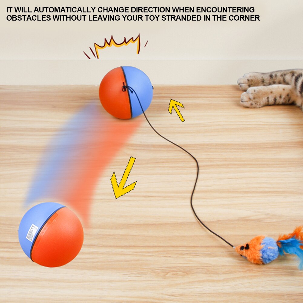 Fun Interactive Motorized Cat Toy Ball