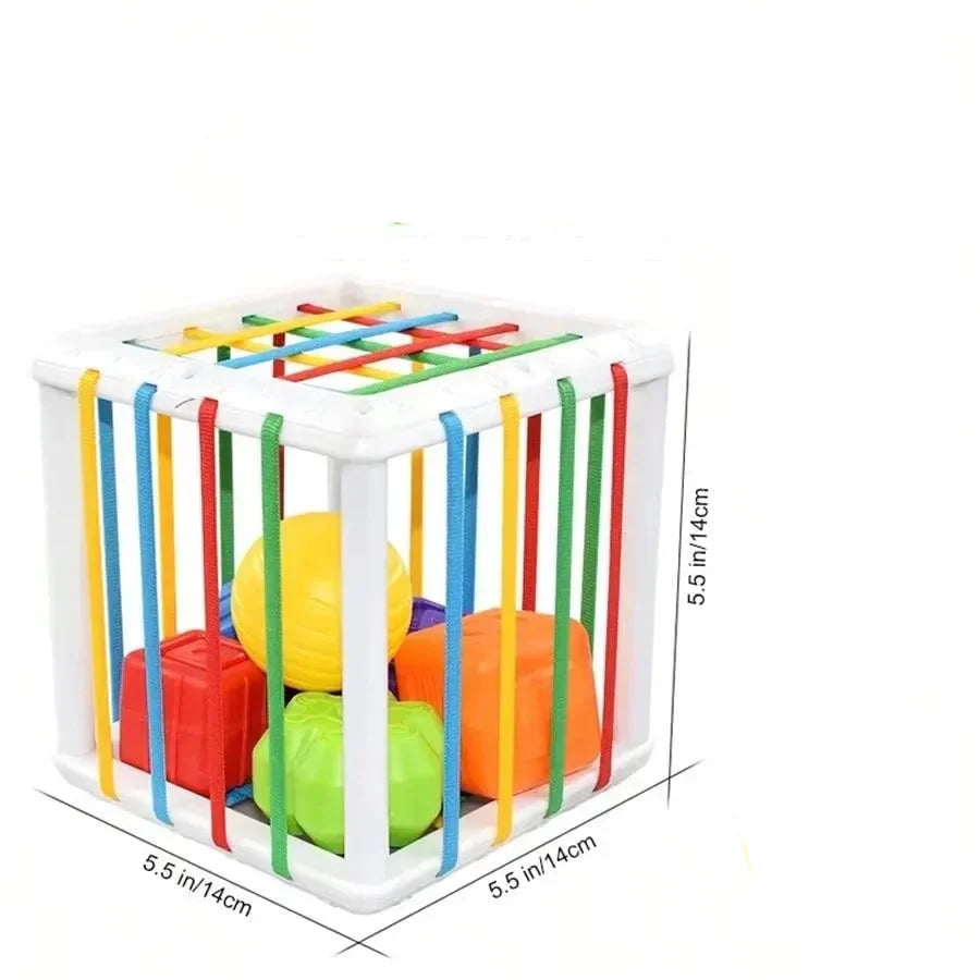 Educational Wooden Shape Sorter Toy Box