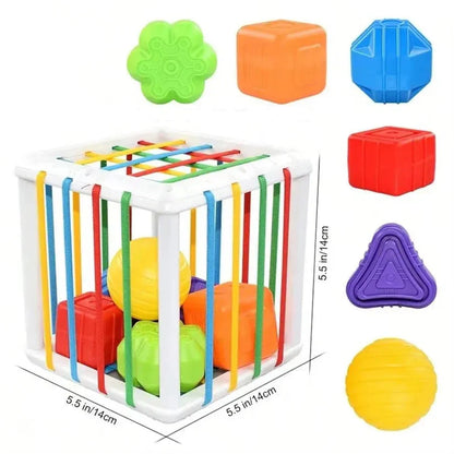 Educational Shape Sorting Toy Box