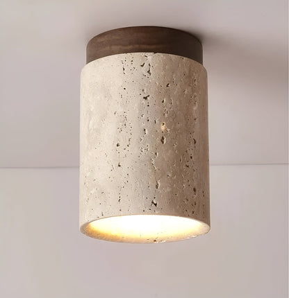 Beautiful Earthy LED Ceiling Lamp