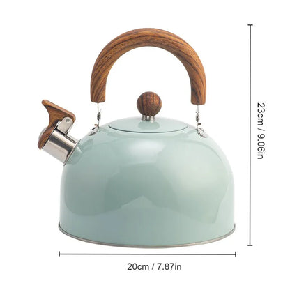 Big Fast Boiling Stainless Steel Kettle