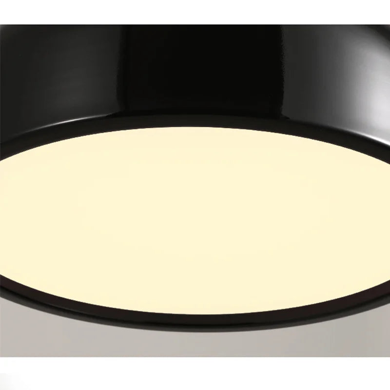 Simple Chic Pendant Ceiling Lamp