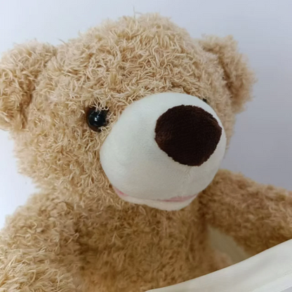 Cuddly Talking Teddy Bear Friend