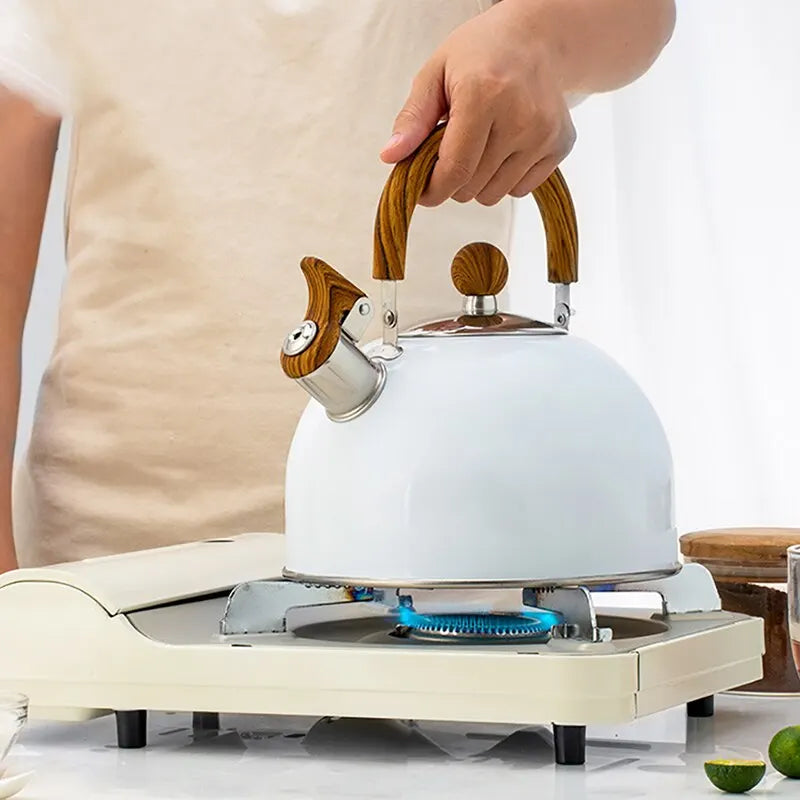 Big Fast Boiling Stainless Steel Kettle