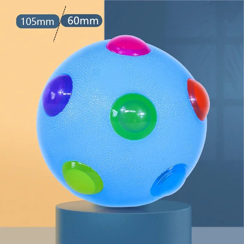 Colorful LED Pet Ball Toy