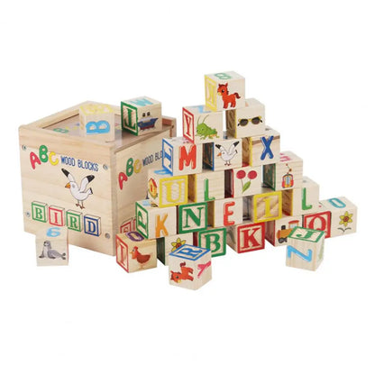 Learning Wooden ABC Blocks with Container
