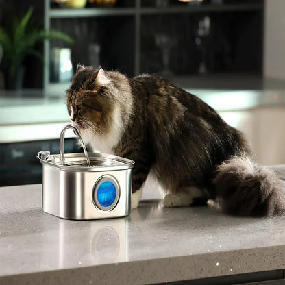 Easy Clean Pet Water Dispenser Fountain