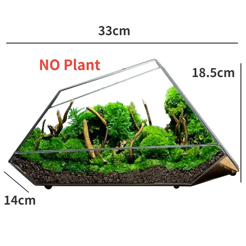 Small Clear Succulent Plant Pot Vase - Luxicro
